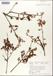 000046655-thumbnail.jpg