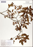 000046700-thumbnail.jpg