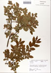 000046850-thumbnail.jpg