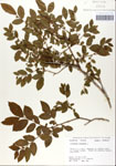 000046851-thumbnail.jpg