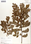 000046860-thumbnail.jpg