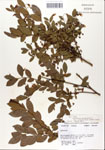 000046873-thumbnail.jpg