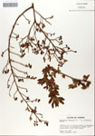 000046911-thumbnail.jpg