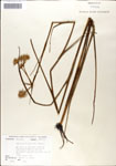 000048183-thumbnail.jpg