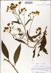 000049403-thumbnail.jpg