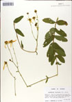 000049413-thumbnail.jpg
