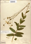 000049416-thumbnail.jpg