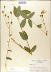 000049420-thumbnail.jpg