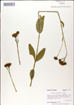 000049430-thumbnail.jpg
