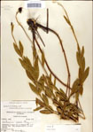 000049451-thumbnail.jpg