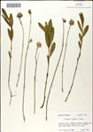 000049457-thumbnail.jpg