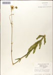 000049478-thumbnail.jpg