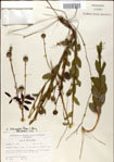 000049479-thumbnail.jpg