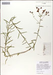 000049497-thumbnail.jpg