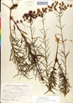 000049502-thumbnail.jpg