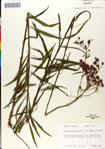 000049505-thumbnail.jpg