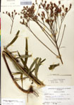 000049514-thumbnail.jpg