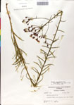 000049516-thumbnail.jpg