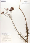 000049524-thumbnail.jpg