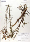 000049526-thumbnail.jpg