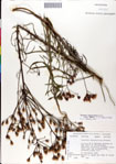 000049528-thumbnail.jpg