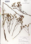 000049539-thumbnail.jpg