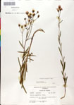 000049546-thumbnail.jpg