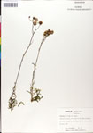 000049548-thumbnail.jpg