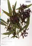 000049574-thumbnail.jpg