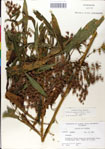 000049576-thumbnail.jpg