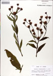 000049622-thumbnail.jpg