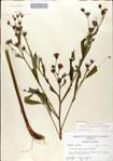 000049626-thumbnail.jpg