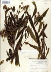 000049630-thumbnail.jpg