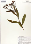 000049634-thumbnail.jpg