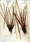 000049760-thumbnail.jpg