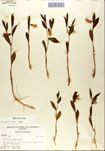 000052215-thumbnail.jpg
