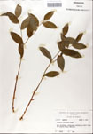000052216-thumbnail.jpg