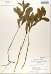000052230-thumbnail.jpg