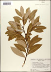 000057938-thumbnail.jpg