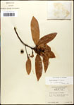 000057939-thumbnail.jpg