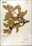 000057940-thumbnail.jpg