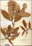 000057943-thumbnail.jpg