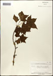 000057946-thumbnail.jpg