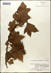 000057947-thumbnail.jpg