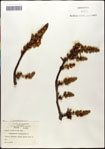 000057948-thumbnail.jpg
