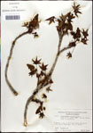 000057953-thumbnail.jpg