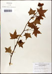 000057958-thumbnail.jpg