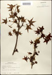 000057959-thumbnail.jpg