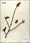 000057961-thumbnail.jpg