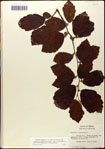 000058072-thumbnail.jpg
